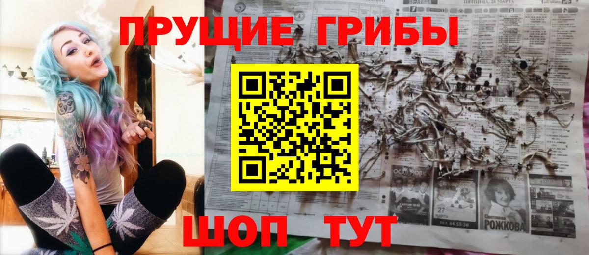 Псилоцибиновые грибы мухоморы Ленинск-Кузнецкий